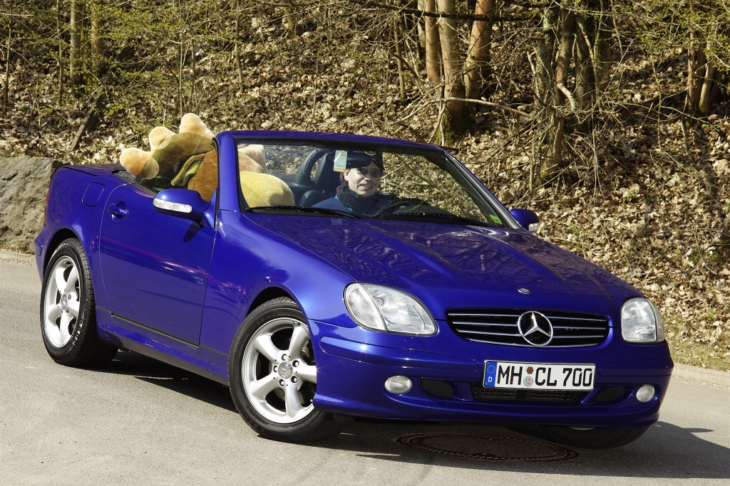 Bild 6 von 20  -  691 kB