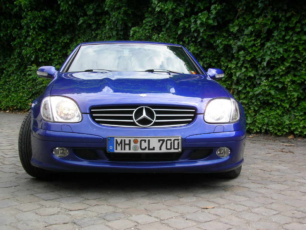 Bild 4 von 15  -  90 kB