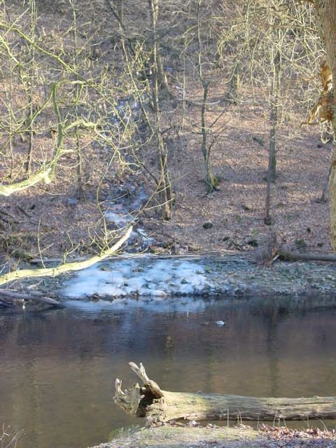 Bild 2 von 23  -  158 kB