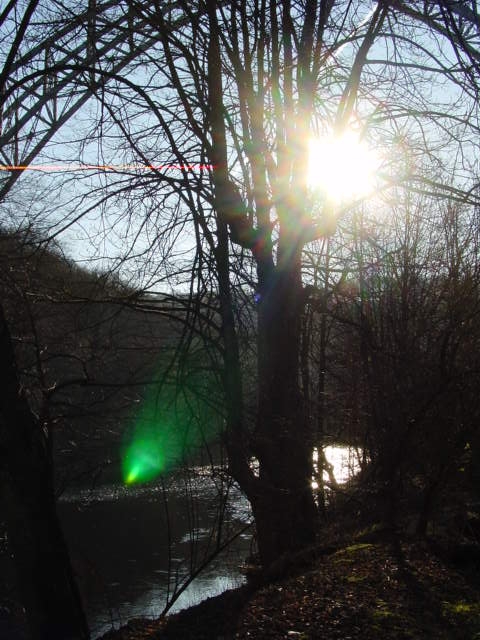 Bild 3 von 23  -  151 kB