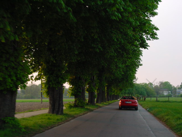 Bild 10 von 41  -  61 kB