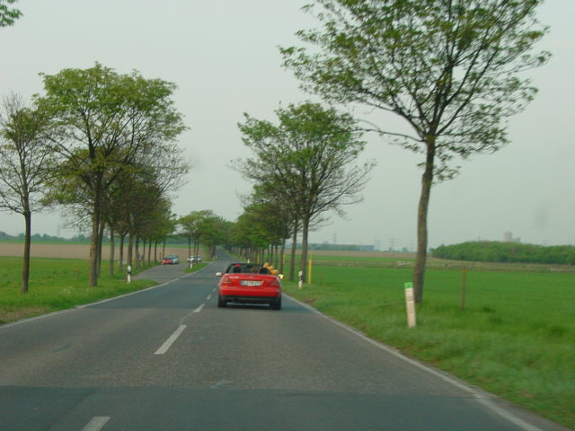 Bild 11 von 41  -  61 kB